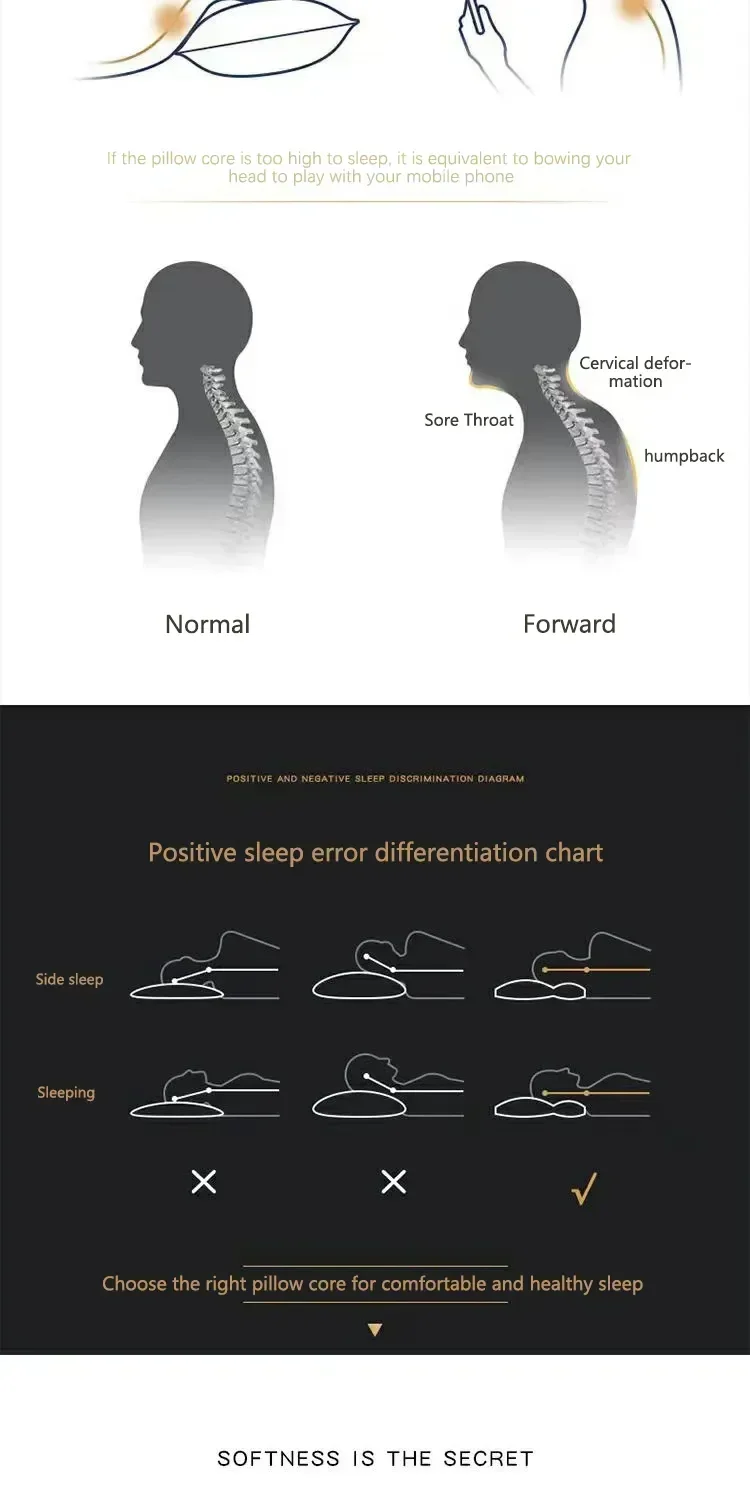 Diseño Ergonómico para un Soporte Óptimo