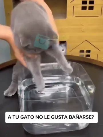 Masaje Relajante y Agradable