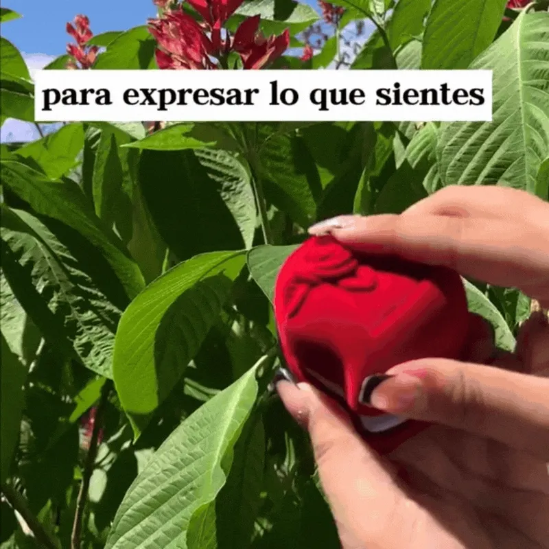 Collar "Te amo" en 100 idiomas CAJA LUJO DP