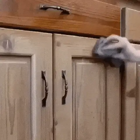 Beneficios Naturales para Tu Madera