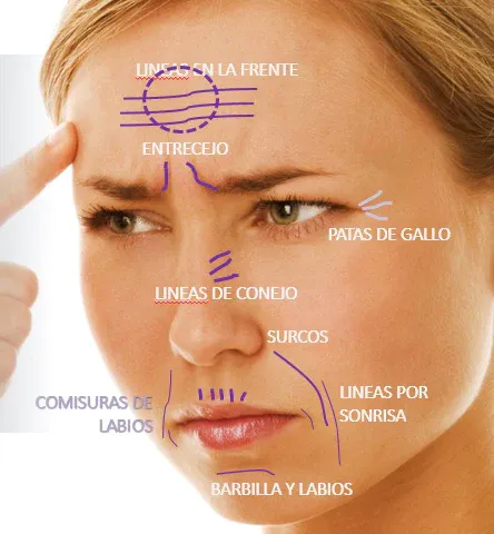 Descubre la Magia de la Niacinamida