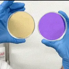 El Secreto del Morado