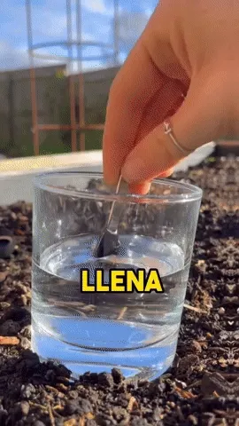 Beneficios para tu Bienestar