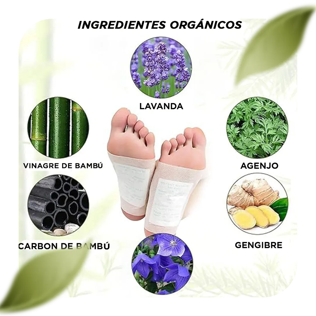 Parche Kinoki Kiyome Desintoxicante Pies: Revitaliza tu cuerpo desde la base - Parche Kinoki Kiyome Desintoxicante Pies