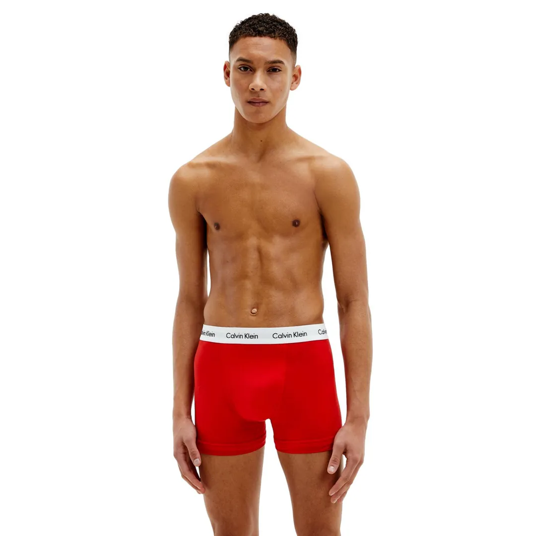 Docena de Boxer Ck (PARRA)
