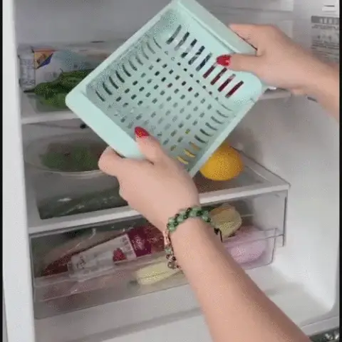 Compra Ahora y Disfruta de una Nevera Ordenada