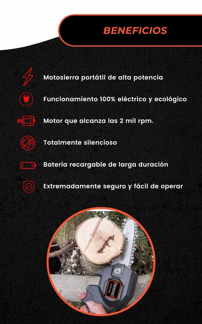 La Mejor Compañera para Tus Proyectos