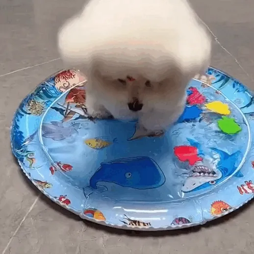 Colchoneta Tapete de Agua Ovalado: ¡Diversión Refrescante para tu Mascota!