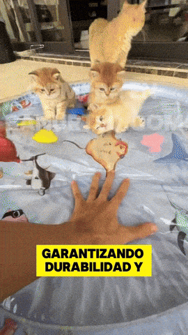 Dile Adiós a los Muebles Rayados