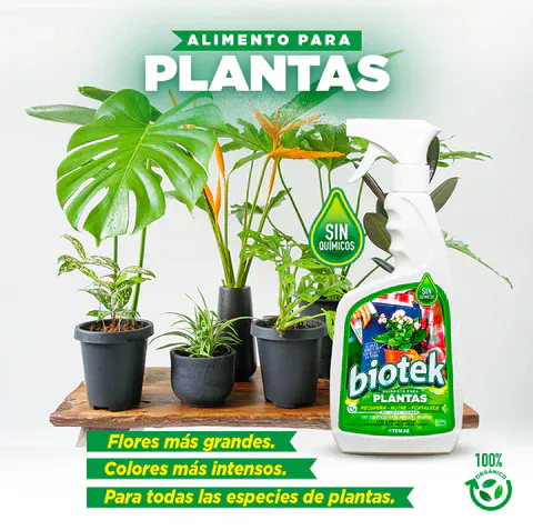 BIOTEK ALIMENTO PARA PLANTAS 500 ML: Revitaliza tus plantas de forma natural - BIOTEK ALIMENTO PARA PLANTAS 500 ML