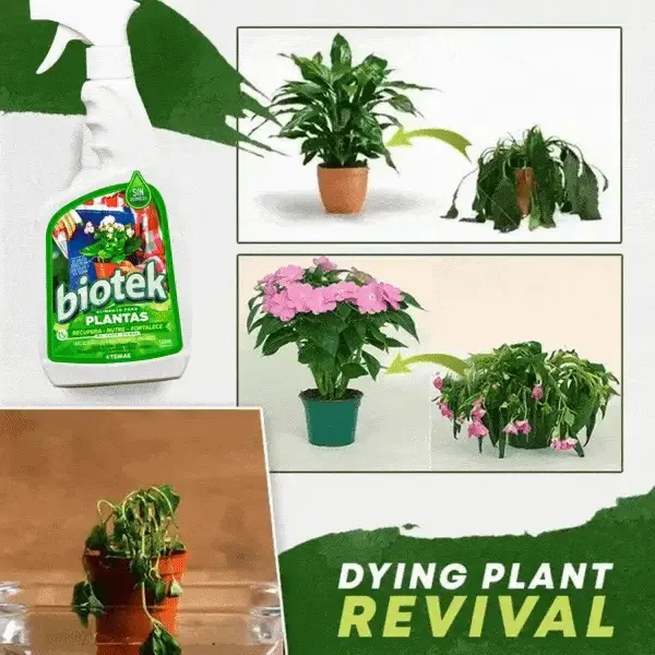 BIOTEK ALIMENTO PARA PLANTAS 500 ML: Revitaliza tus plantas de forma natural - BIOTEK ALIMENTO PARA PLANTAS 500 ML