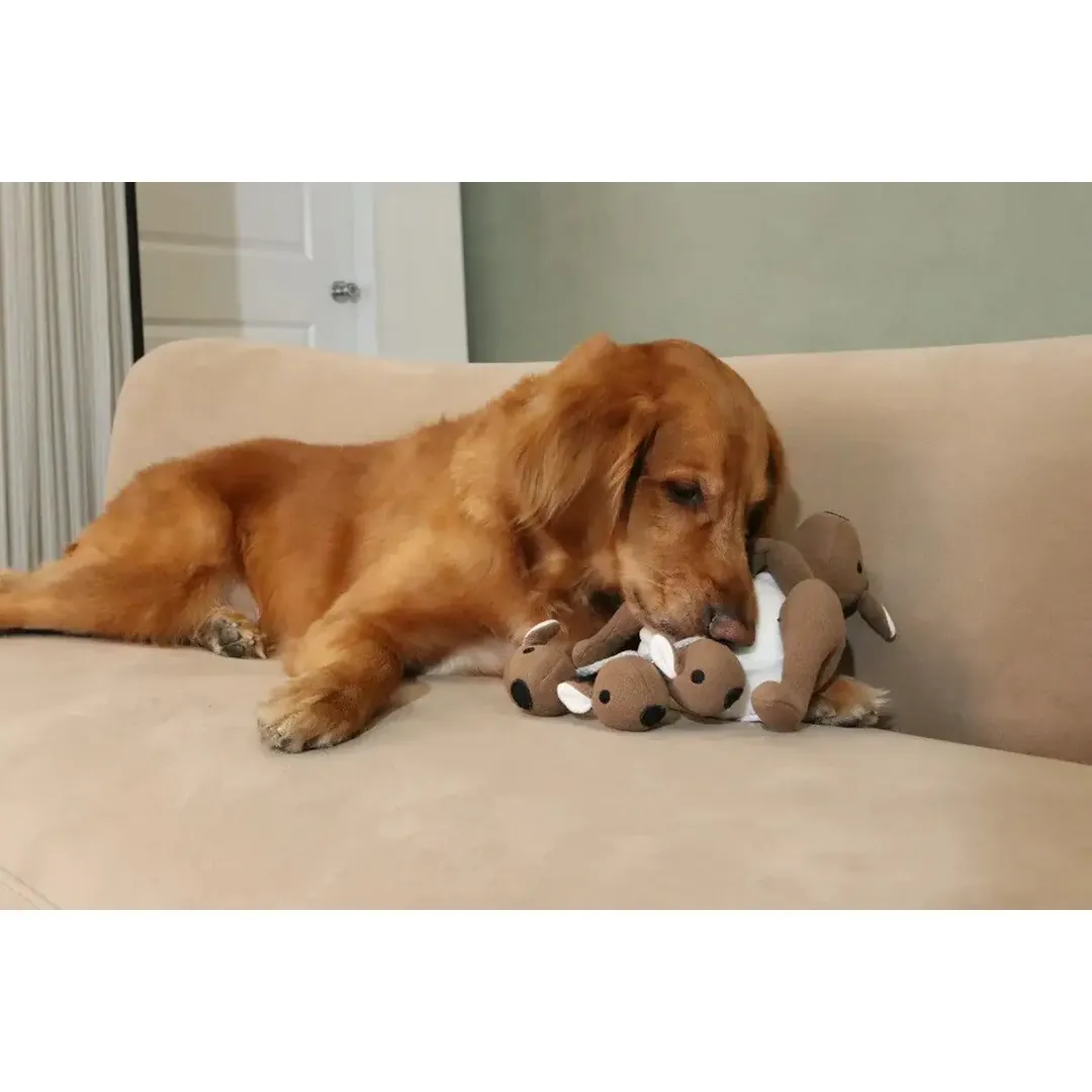 CEPILLO VAPORIZADOR PARA MASCOTAS: ¡Limpieza Profunda y Suave para tu Amigo Peludo! - CEPILLO VAPORIZADOR PARA MASCOTAS
