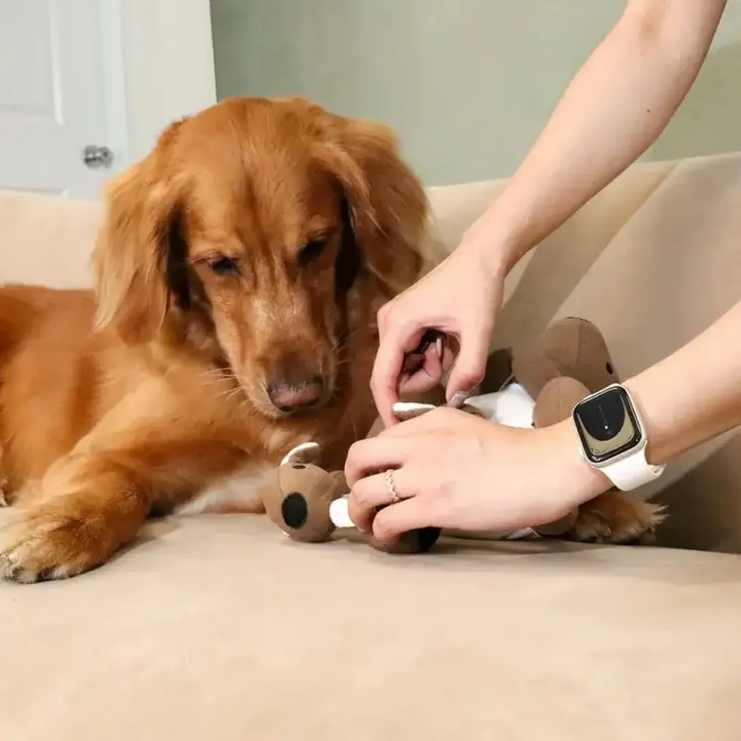 CEPILLO VAPORIZADOR PARA MASCOTAS: ¡Limpieza Profunda y Suave para tu Amigo Peludo! - CEPILLO VAPORIZADOR PARA MASCOTAS