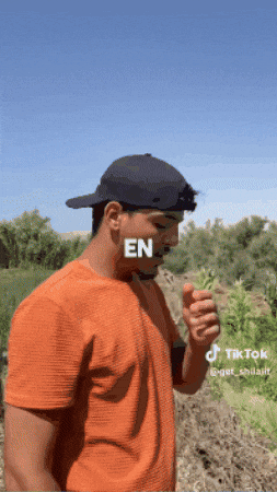 Un Impulso Natural