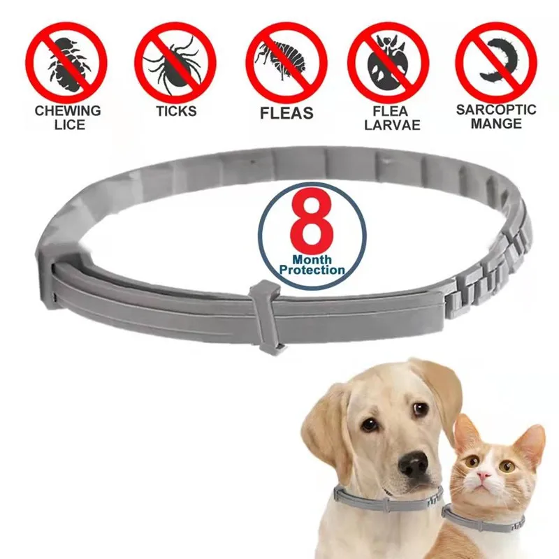 COLLAR 0 PULGAS: Protección Total contra Pulgas y Garrapatas