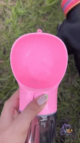 Tu Compañero Ideal para Aventuras