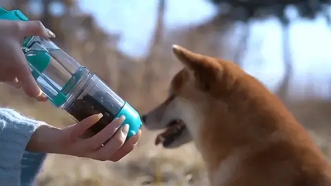 Diseño Inteligente para la Comodidad de tu Mascota