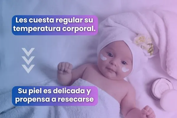 La Comodidad que Tu Bebé Necesita