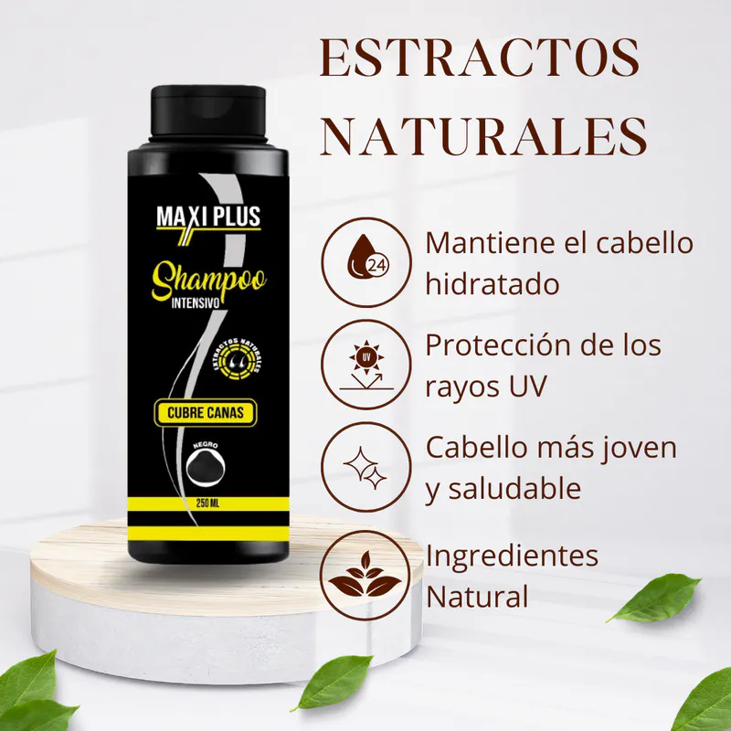 Confianza en Cada Aspecto