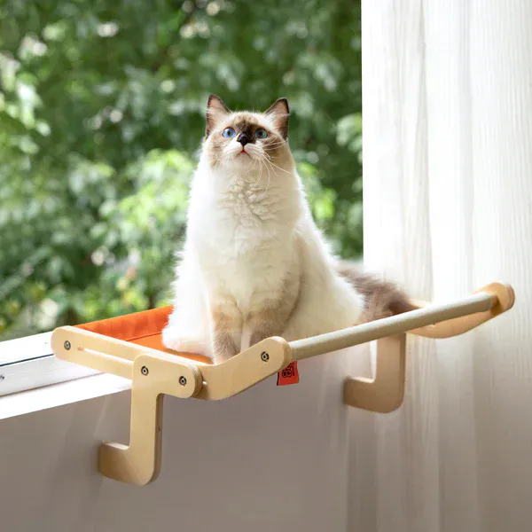 FLEXICAMA PARA GATOS: La Cama Perfecta para tu Felino - FLEXICAMA PARA GATOS