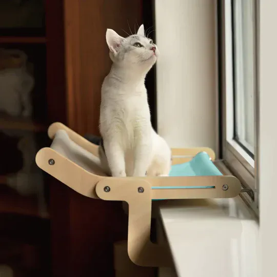 FLEXICAMA PARA GATOS: La Cama Perfecta para tu Felino - FLEXICAMA PARA GATOS