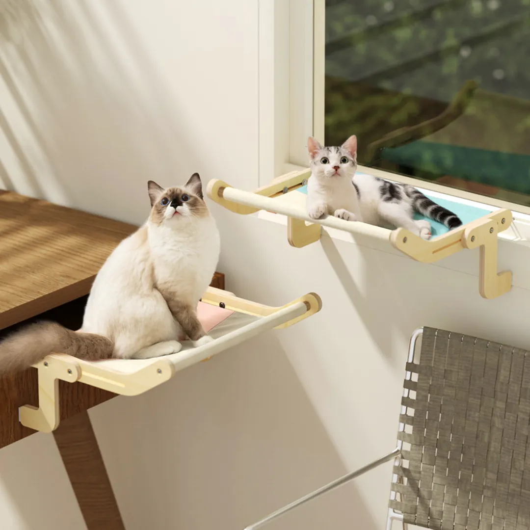 FLEXICAMA PARA GATOS: La Cama Perfecta para tu Felino - FLEXICAMA PARA GATOS