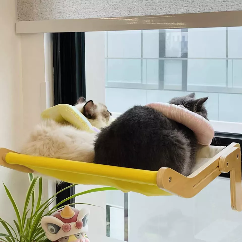 Un Diseño Pensado para tu Gato
