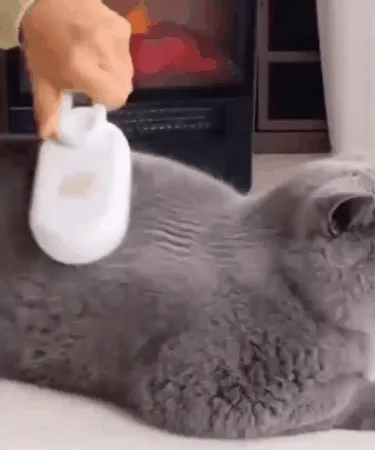 Cepillo para Mascotas a Vapor con Mango: ¡Limpieza Profunda y Aseo Suave!
