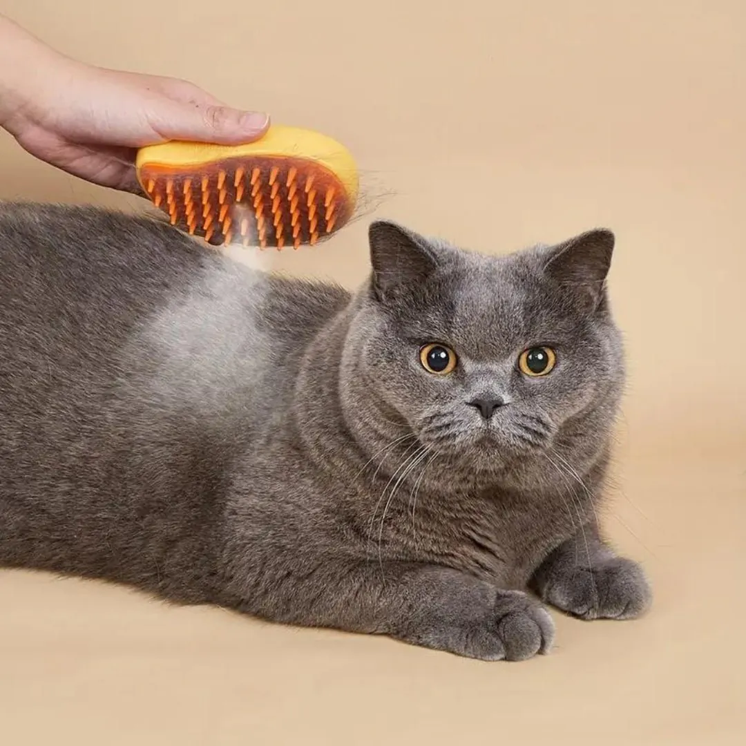 Cepillo de Vapor para Mascotas: La Solución Definitiva para un Pelaje Impecable - Cepillo de vapor para mascotas, cepillo