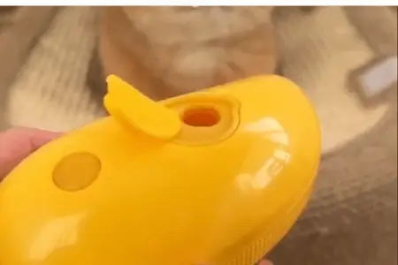 Cepillo de Vapor para Mascotas: La Solución Definitiva para un Pelaje Impecable