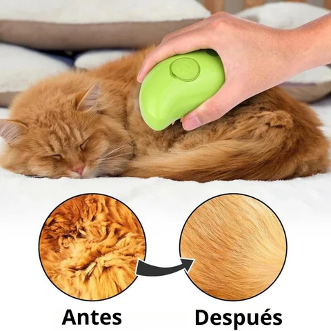 Masaje Relajante para tu Mascota