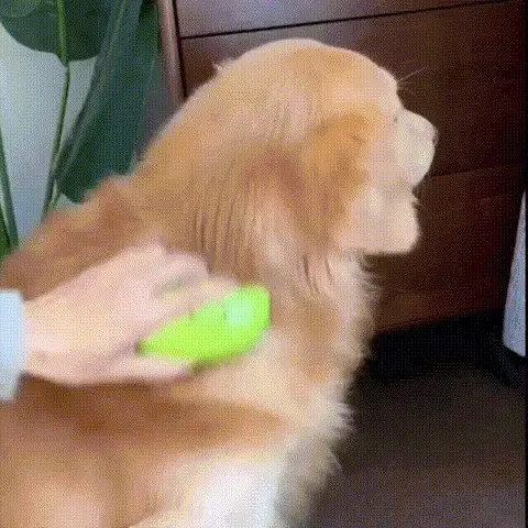 Diseño Ergonómico y Seguro