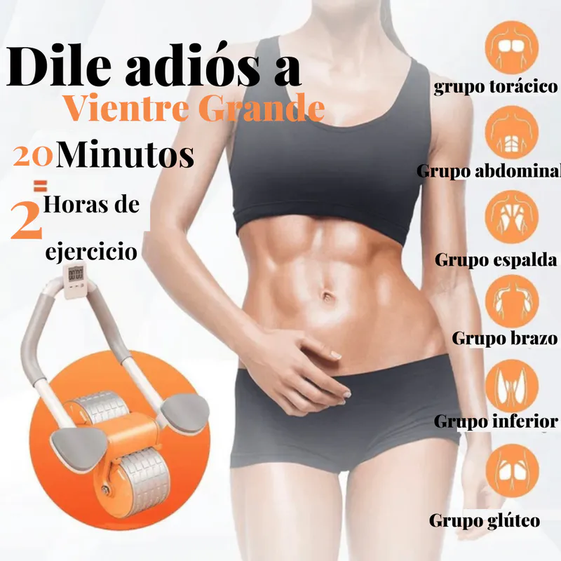Diseño Inteligente y Versátil