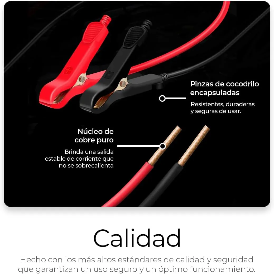 CARGADOR DE BATERIA Powermax™: Arranque Rápido y Seguro - CARGADOR DE BATERIA