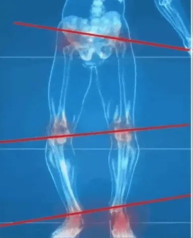 Confort y Soporte para Cualquier Actividad