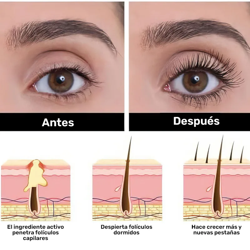 La Mirada que Siempre has Soñado