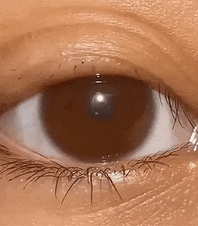 Lash Elixir: El Secreto de Muchas Mujeres