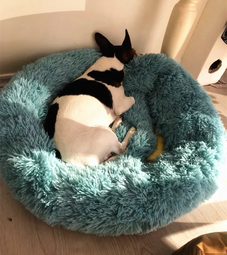 Cama Donut Talla S: El Refugio Perfecto para tu Mascota