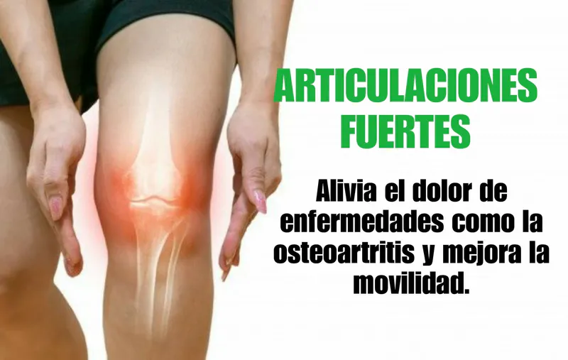 Articulaciones Fuertes y Saludables