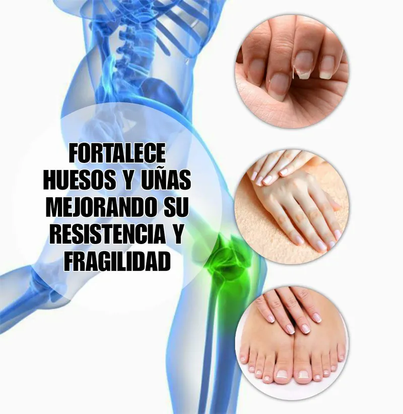 Un Suplemento 100% Puro y Natural