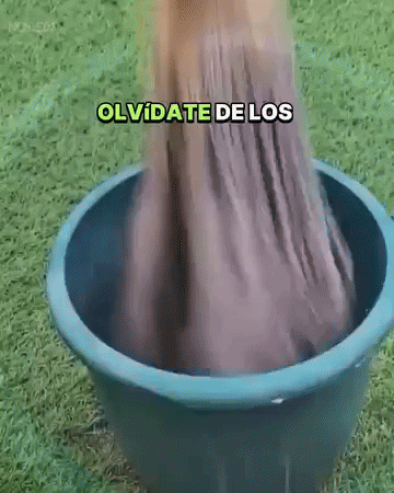 TRAPEADOR: Limpieza de pisos sin esfuerzo