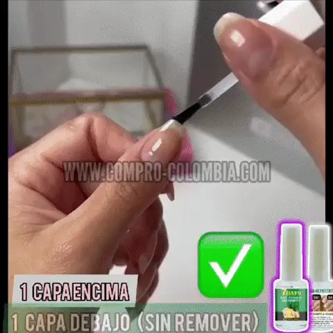 Presentación
