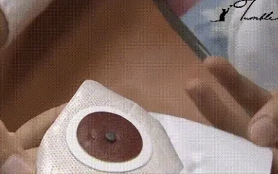 Dile Adiós a la Grasa Rebelde