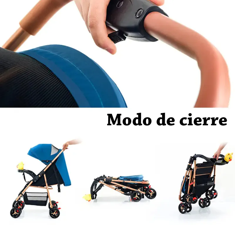 Diseño Elegante y Moderno