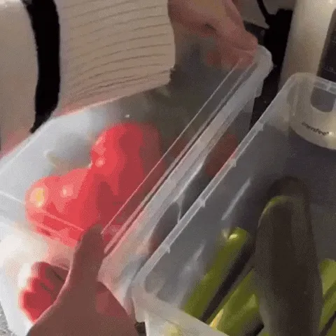 ORGANIZADOR CON TAPA TRANSPARENTE X3: ¡Organiza tu espacio con estilo!