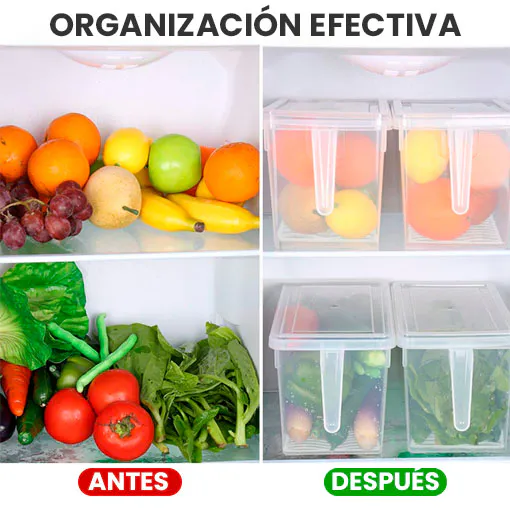 Diseño funcional y elegante