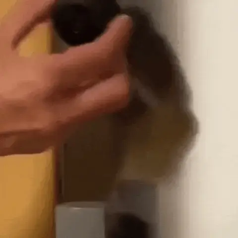 Seguridad Discreta e Inteligente