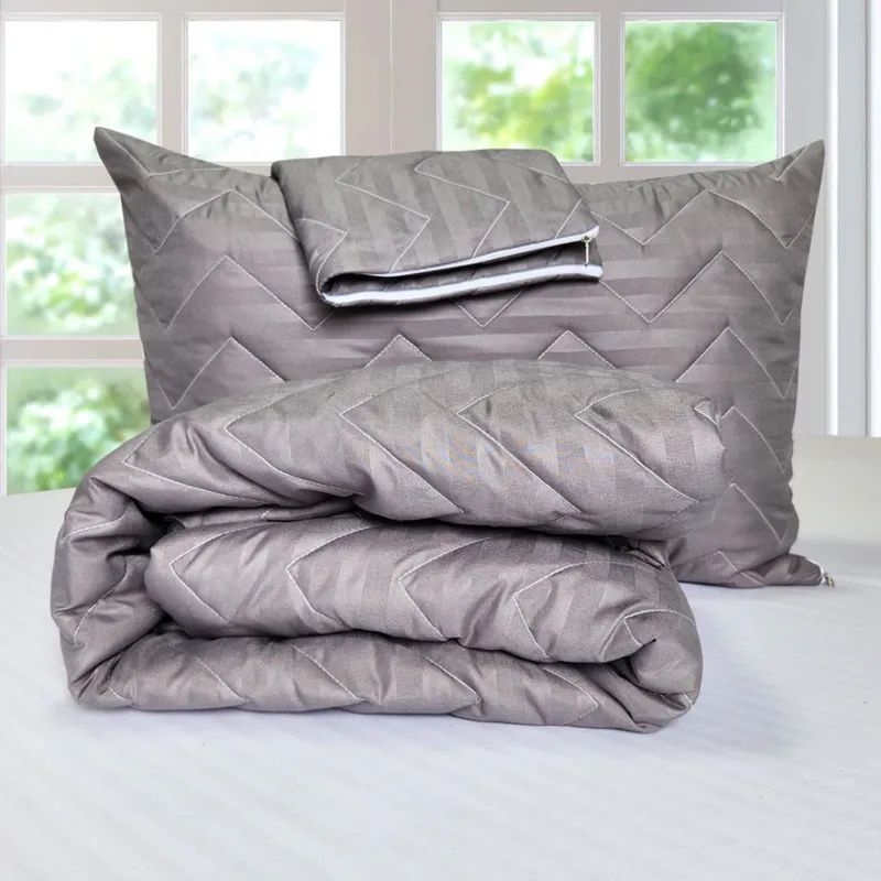 ¡Oferta Irresistible! 2 Protectores de Almohada GRATIS