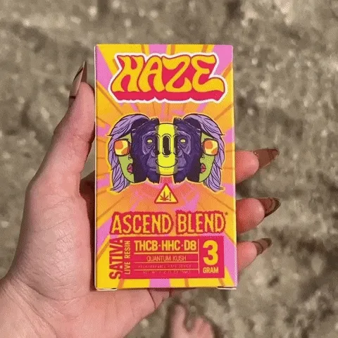 Sabor Original: Una Explosión de Frescura