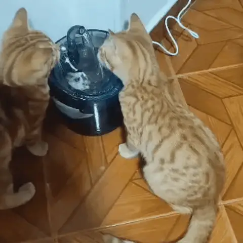 Triple Filtración para Agua Pura